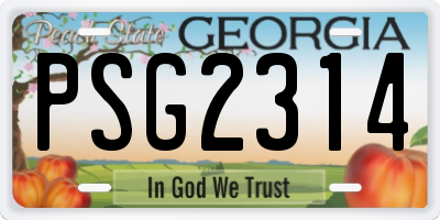 GA license plate PSG2314