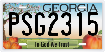 GA license plate PSG2315
