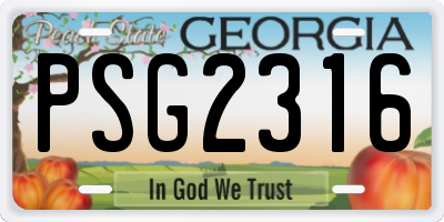 GA license plate PSG2316