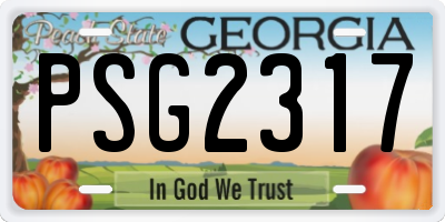 GA license plate PSG2317