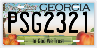 GA license plate PSG2321