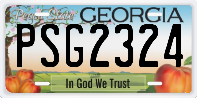 GA license plate PSG2324