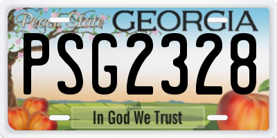 GA license plate PSG2328