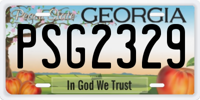 GA license plate PSG2329