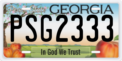 GA license plate PSG2333