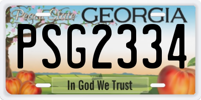 GA license plate PSG2334