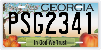 GA license plate PSG2341