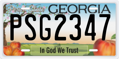 GA license plate PSG2347
