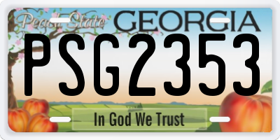 GA license plate PSG2353