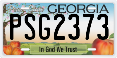 GA license plate PSG2373