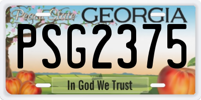 GA license plate PSG2375