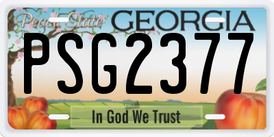 GA license plate PSG2377
