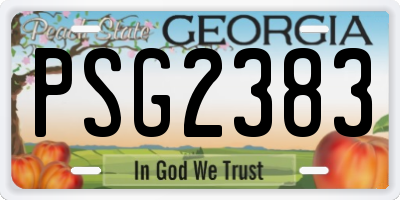 GA license plate PSG2383