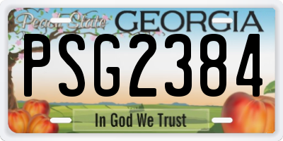 GA license plate PSG2384