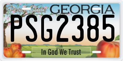 GA license plate PSG2385