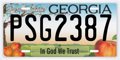 GA license plate PSG2387
