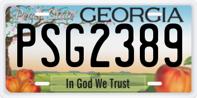 GA license plate PSG2389