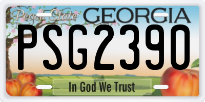 GA license plate PSG2390