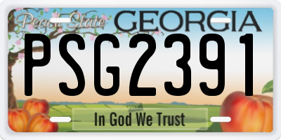 GA license plate PSG2391