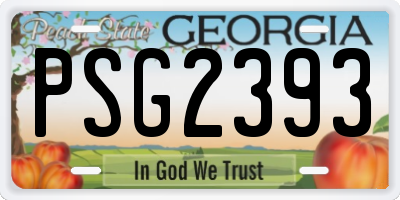 GA license plate PSG2393