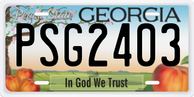 GA license plate PSG2403