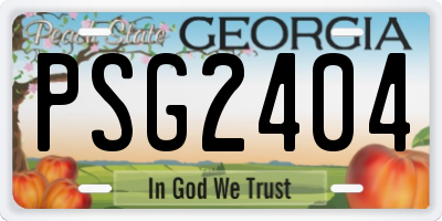 GA license plate PSG2404