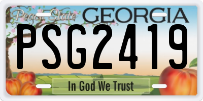 GA license plate PSG2419