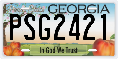 GA license plate PSG2421