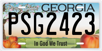 GA license plate PSG2423