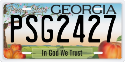 GA license plate PSG2427