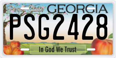 GA license plate PSG2428