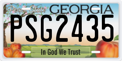 GA license plate PSG2435