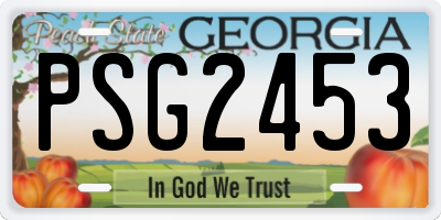 GA license plate PSG2453