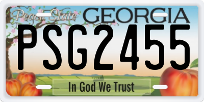 GA license plate PSG2455