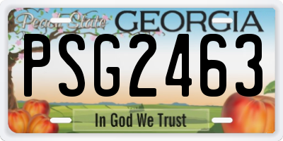 GA license plate PSG2463