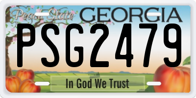 GA license plate PSG2479