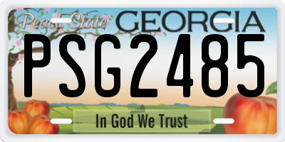 GA license plate PSG2485