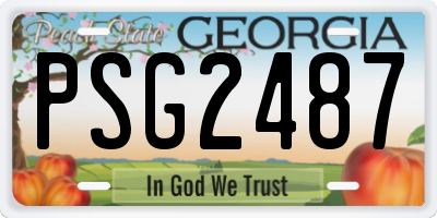 GA license plate PSG2487