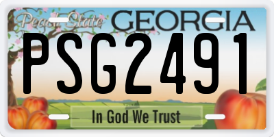 GA license plate PSG2491