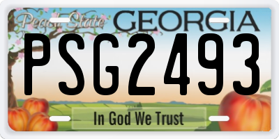GA license plate PSG2493