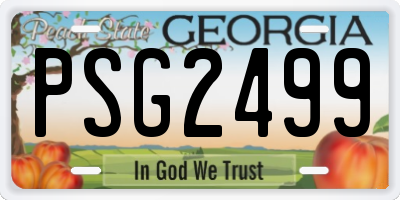 GA license plate PSG2499