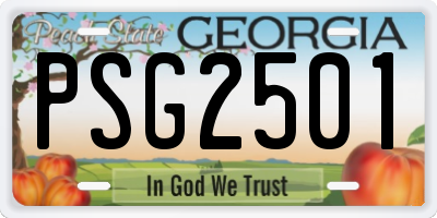 GA license plate PSG2501