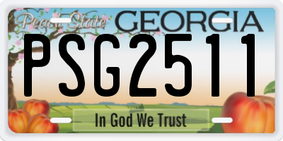 GA license plate PSG2511