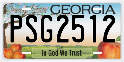 GA license plate PSG2512