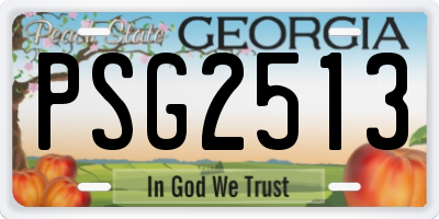 GA license plate PSG2513