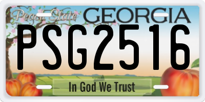 GA license plate PSG2516