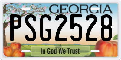 GA license plate PSG2528