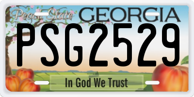 GA license plate PSG2529