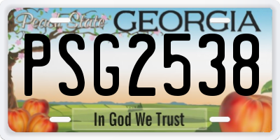 GA license plate PSG2538