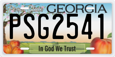 GA license plate PSG2541